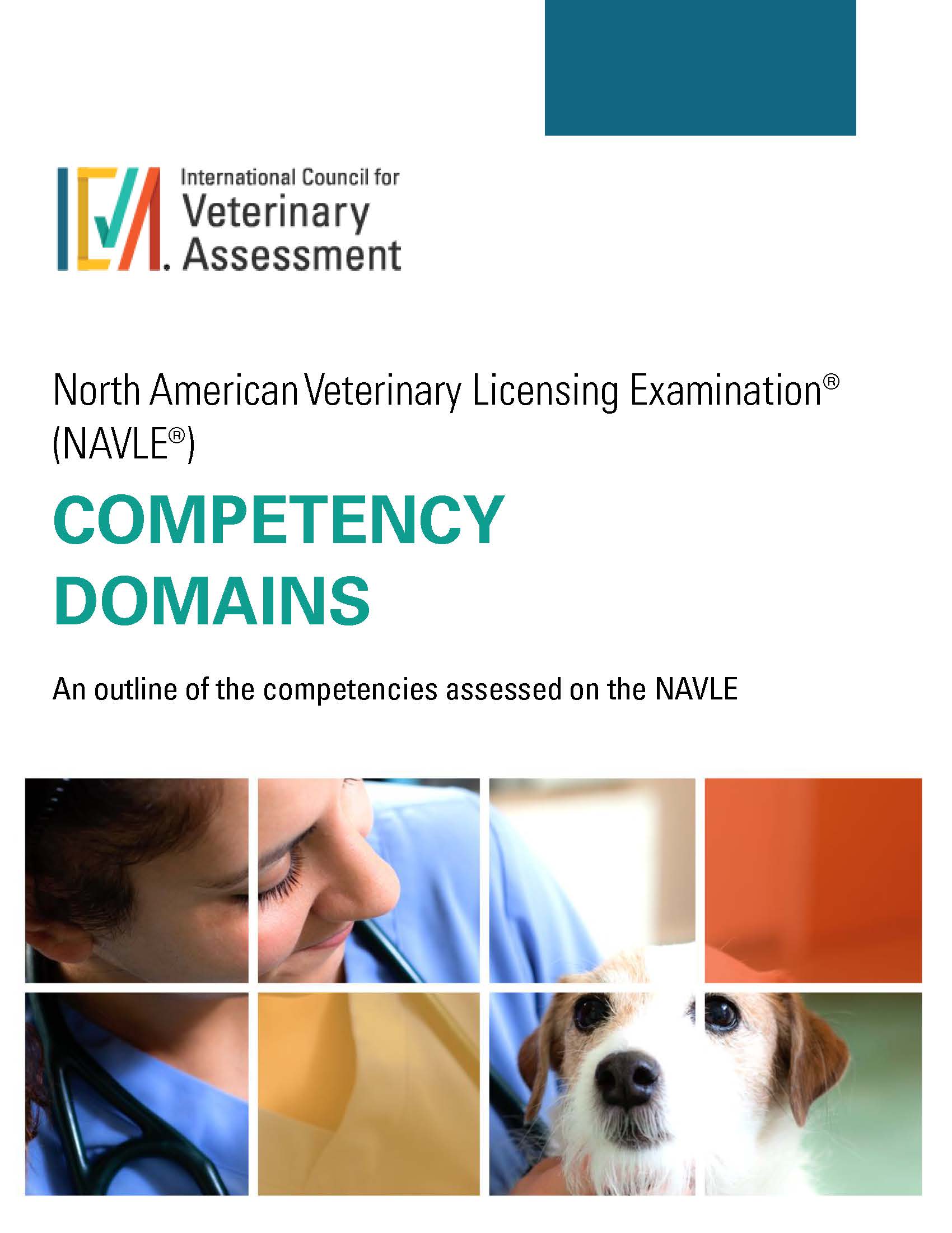 NAVLE Competency Domains