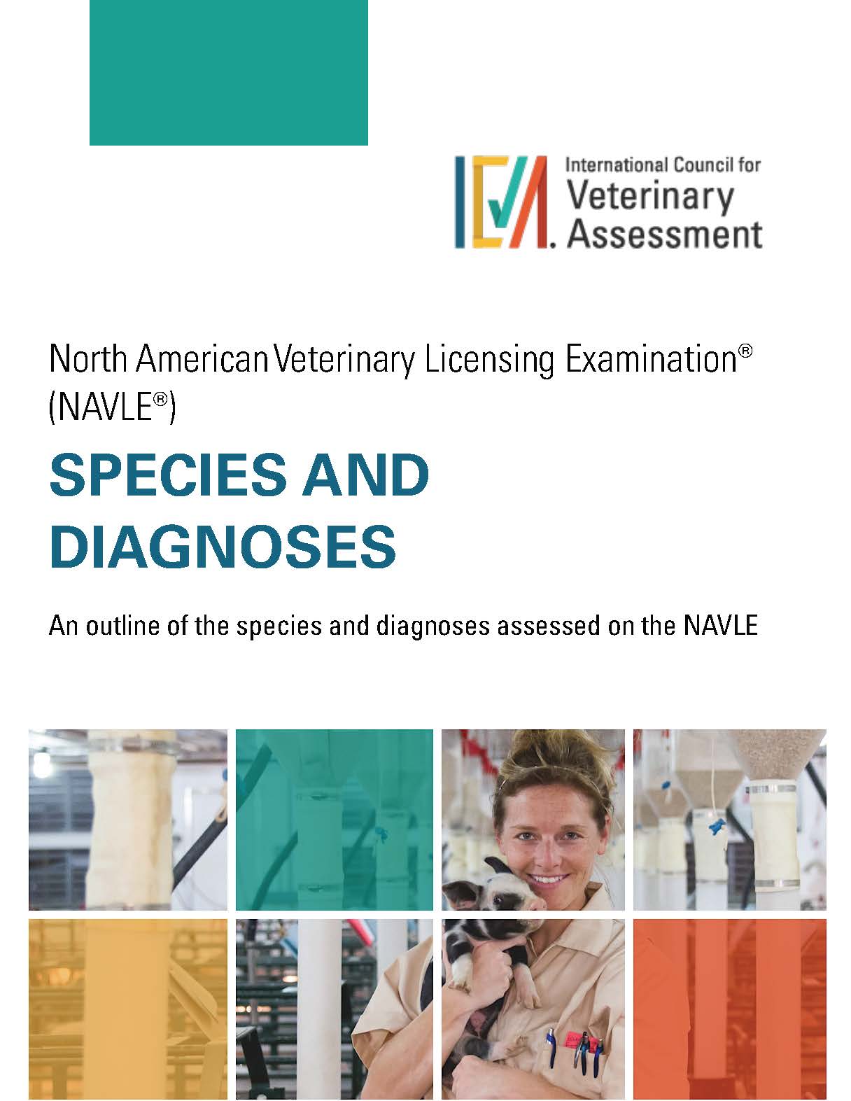 NAVLE Species and Diagnoses