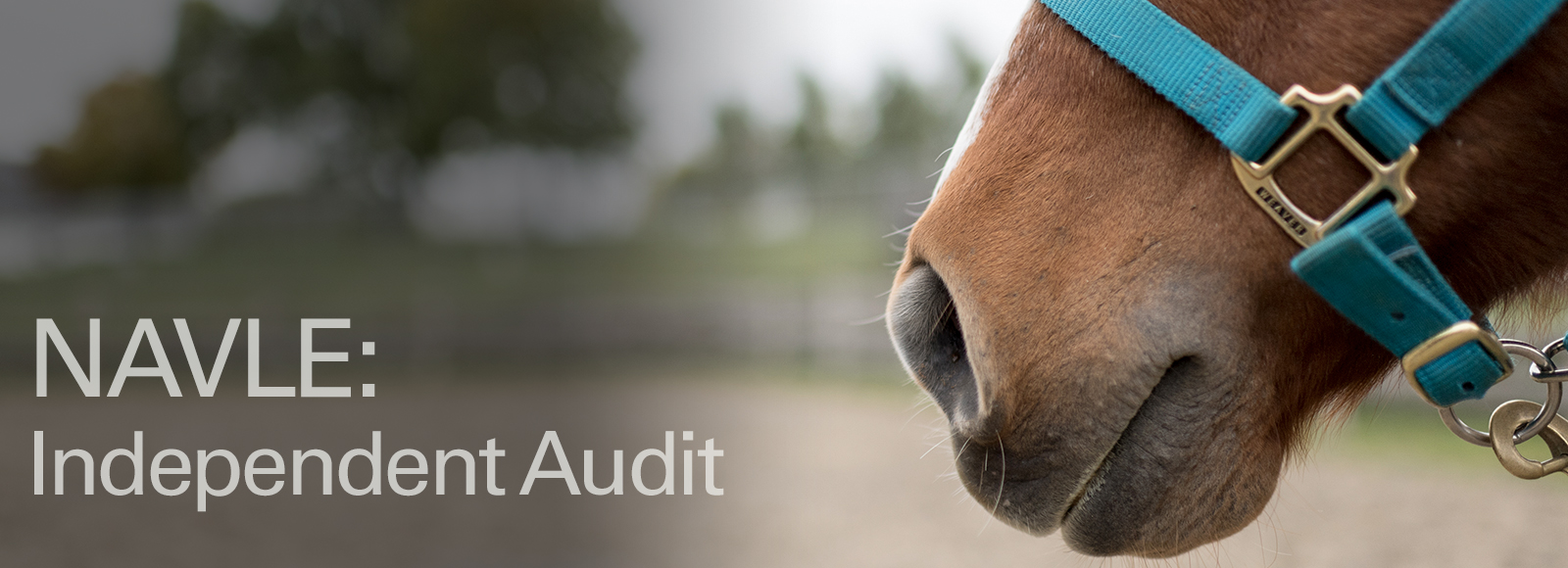 https://icva.net/image/cache/2026_Audit_header.jpg Image